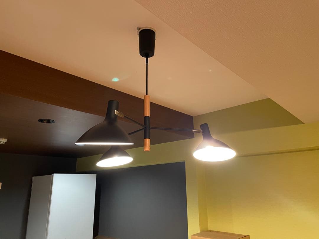 【Mainel】マイネル ペンダントライト 天井照明 ブラック