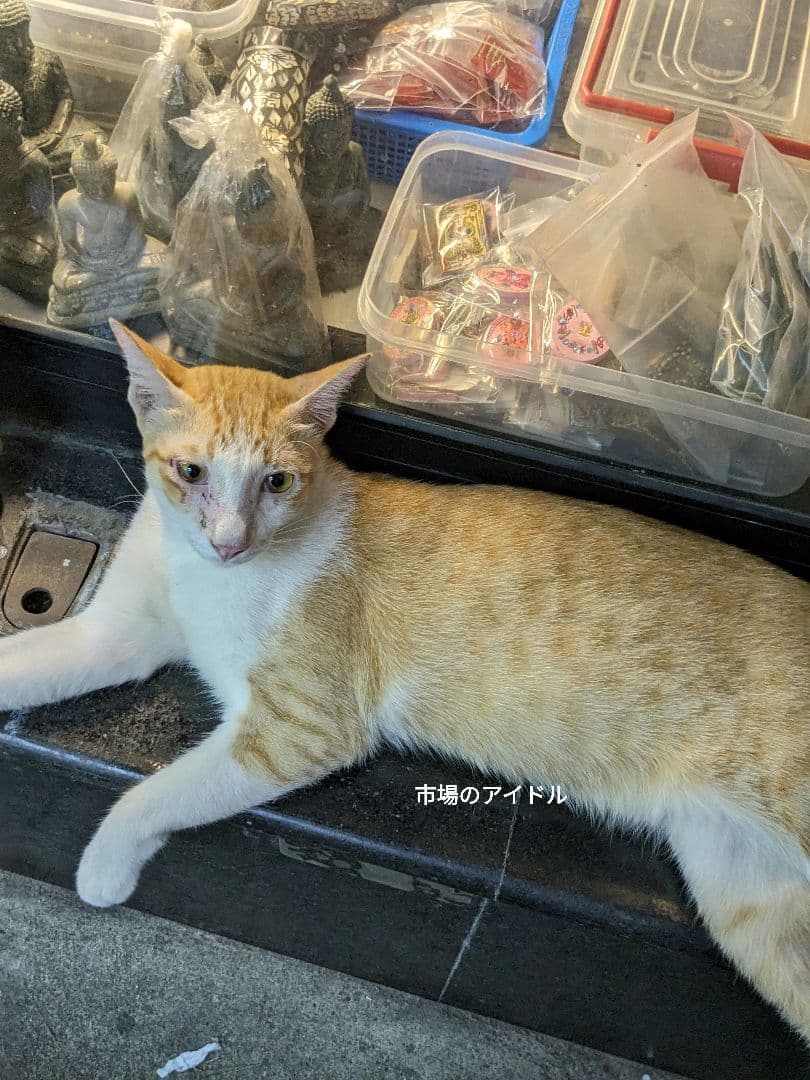 タイのお守りプラクルアンッ！！恋愛&金運アップ！！九尾の狐のオールドタイプ！！！