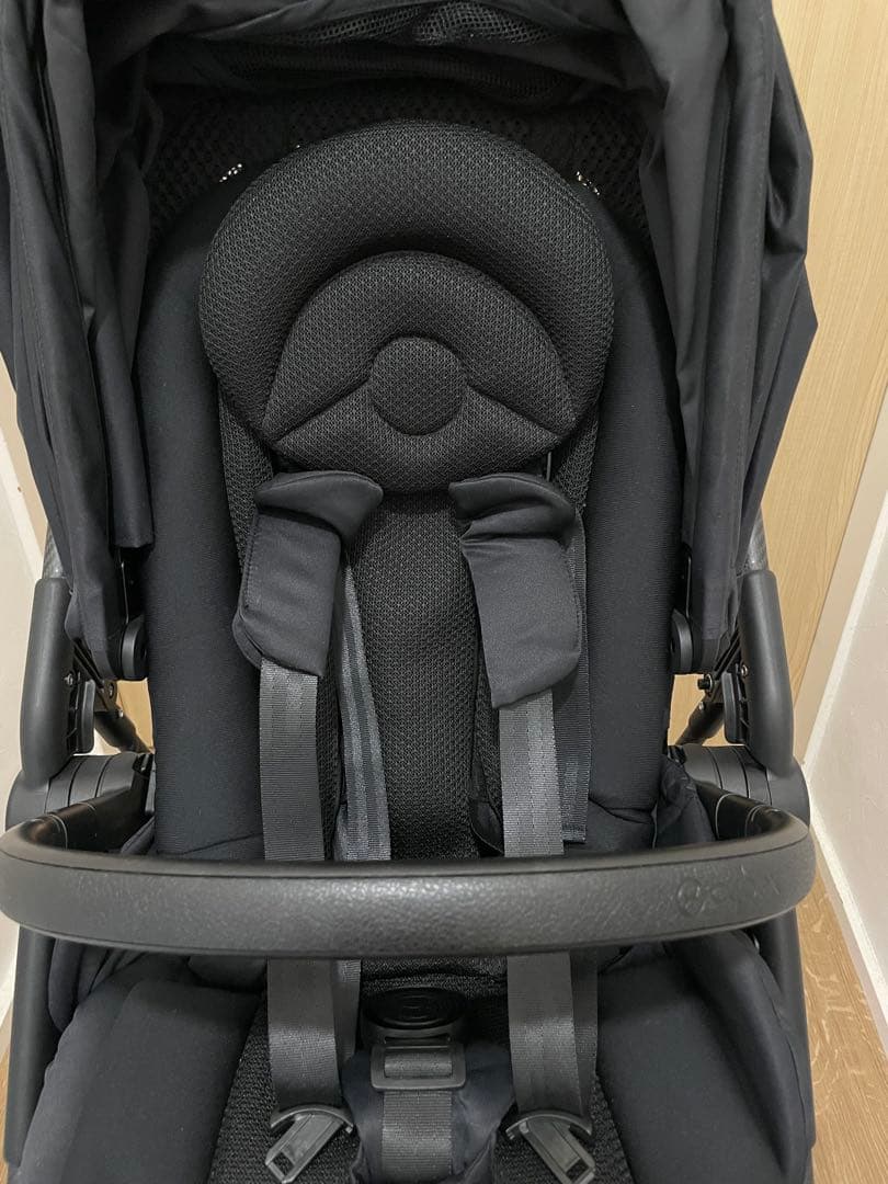 サイベックス メリオカーボン 2022年