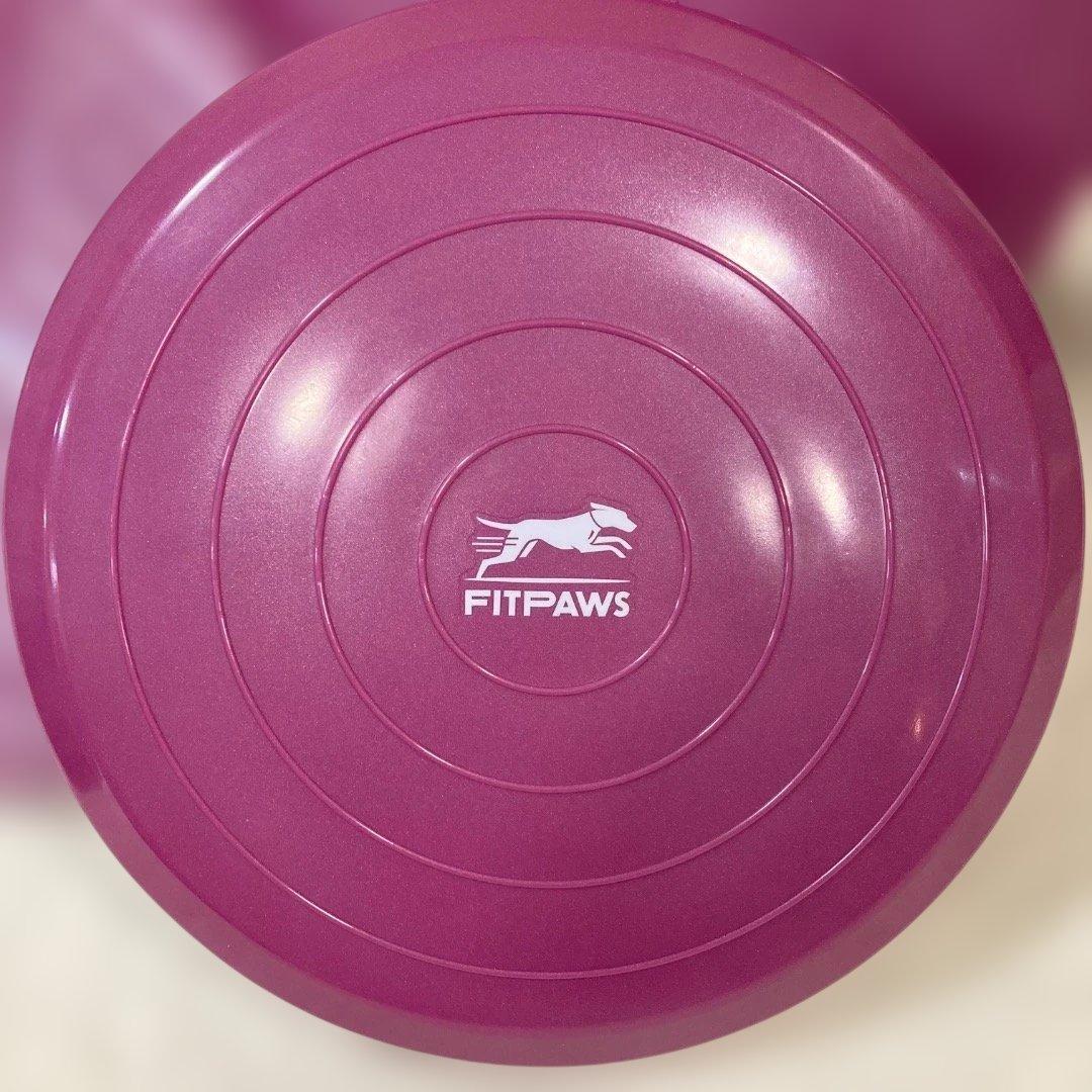 ★3個セット（1個未開封）★犬用アジリティグッズ FitPAWSバランスディスク