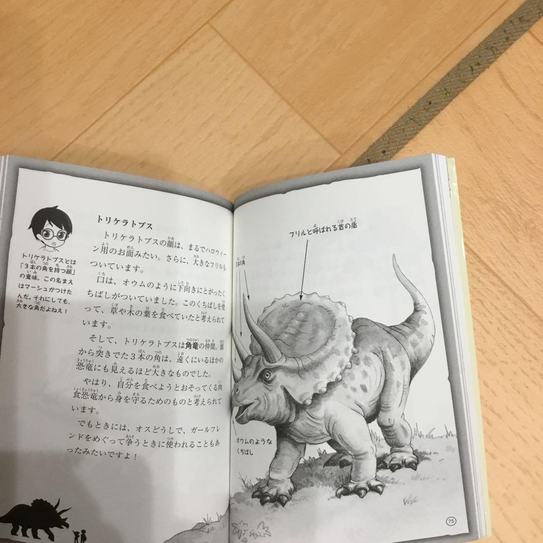 マジックツリーハウス 50セット　　43巻のみなし