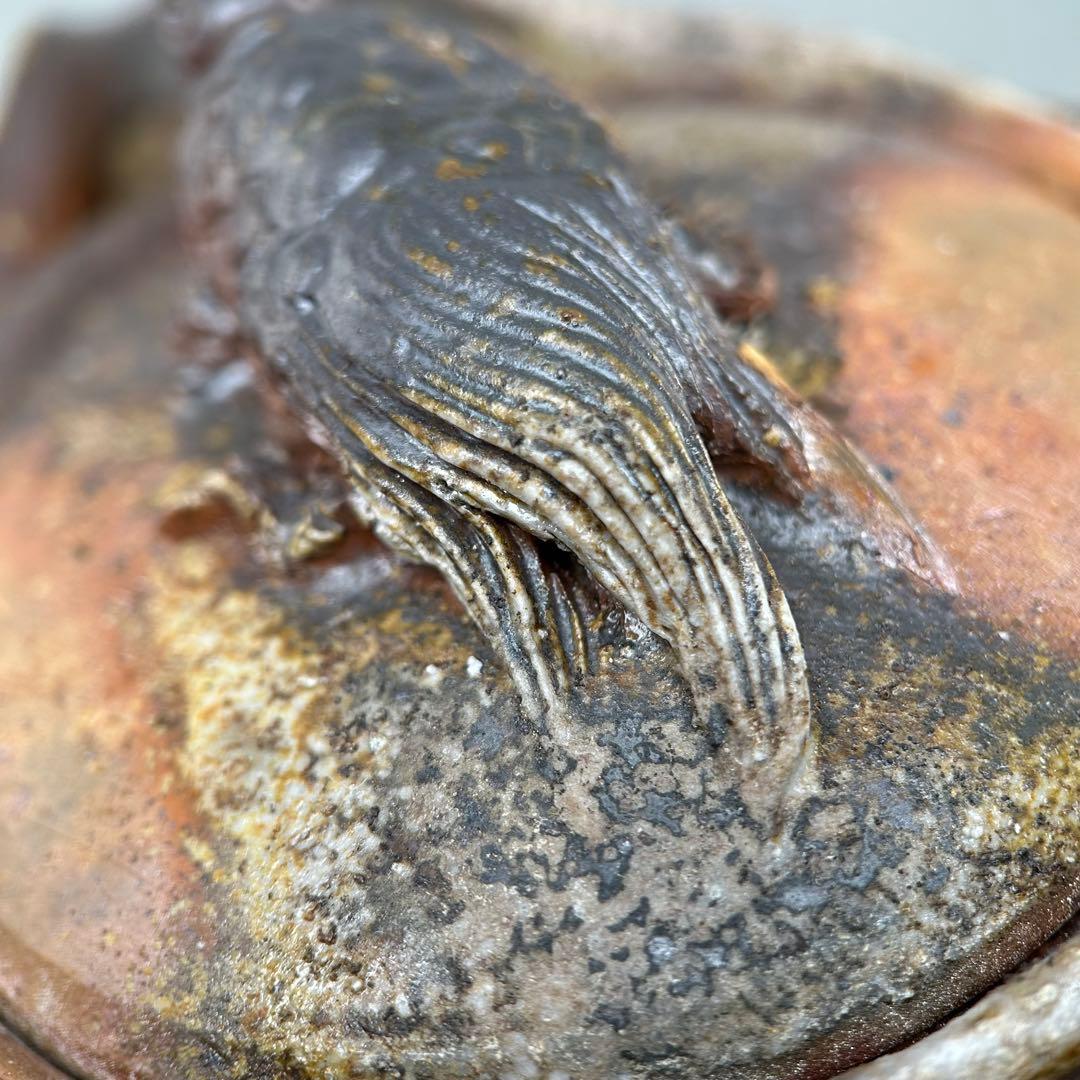 石田安弘 備前焼龟宝瓶 般若心经 人気作者 急須 共箱 共布 茶注 煎茶 茶道具