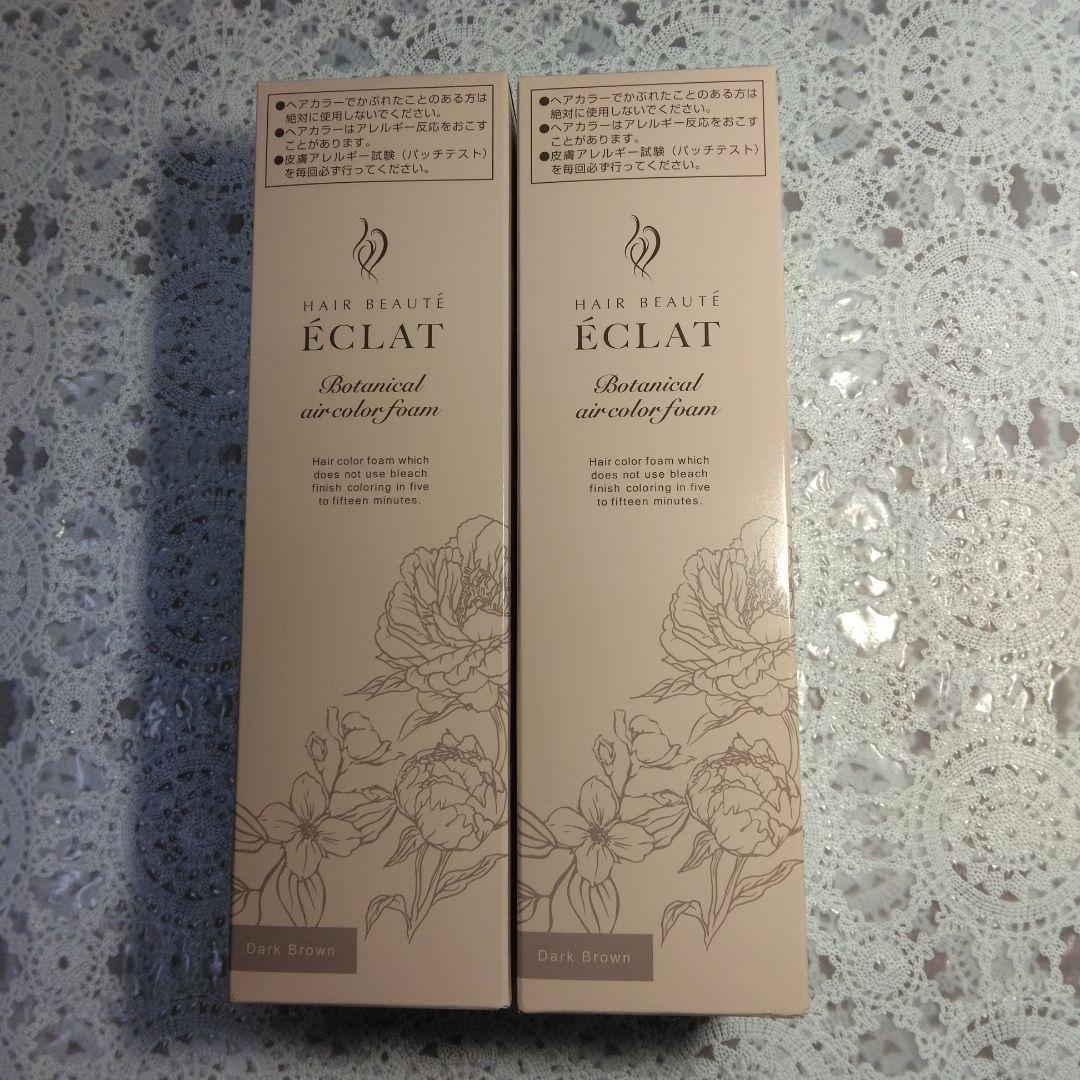 ヘアボーテ エクラ ボタニカルエアカラーフォーム ダークブラウン 2本
