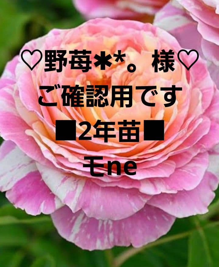 ♡野苺✱*。様♡ ご確認用です　♡ご連絡用♡