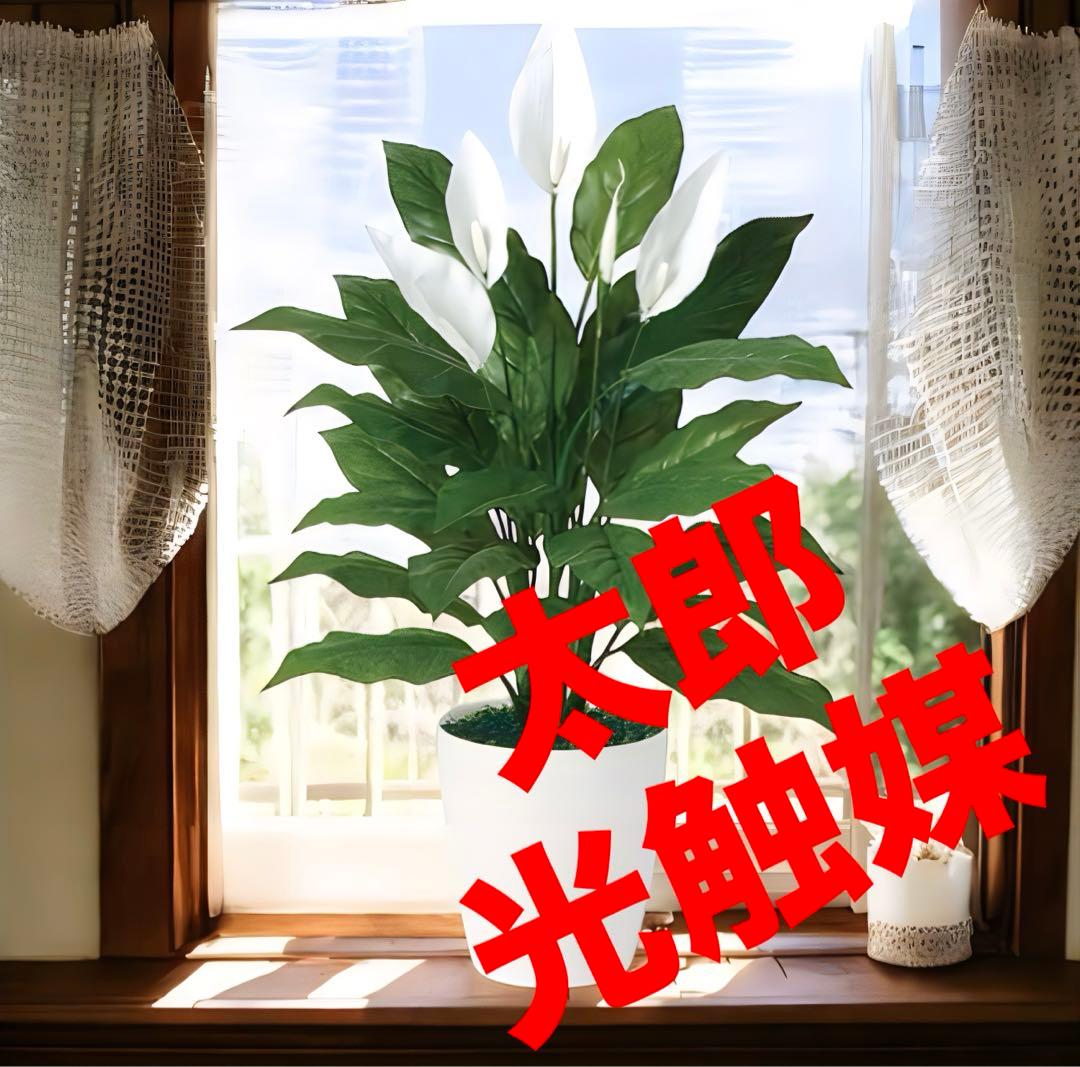 光触媒　人工観葉植物　ウォールグリーン　フェイクグリーン　スパティフィラム 80