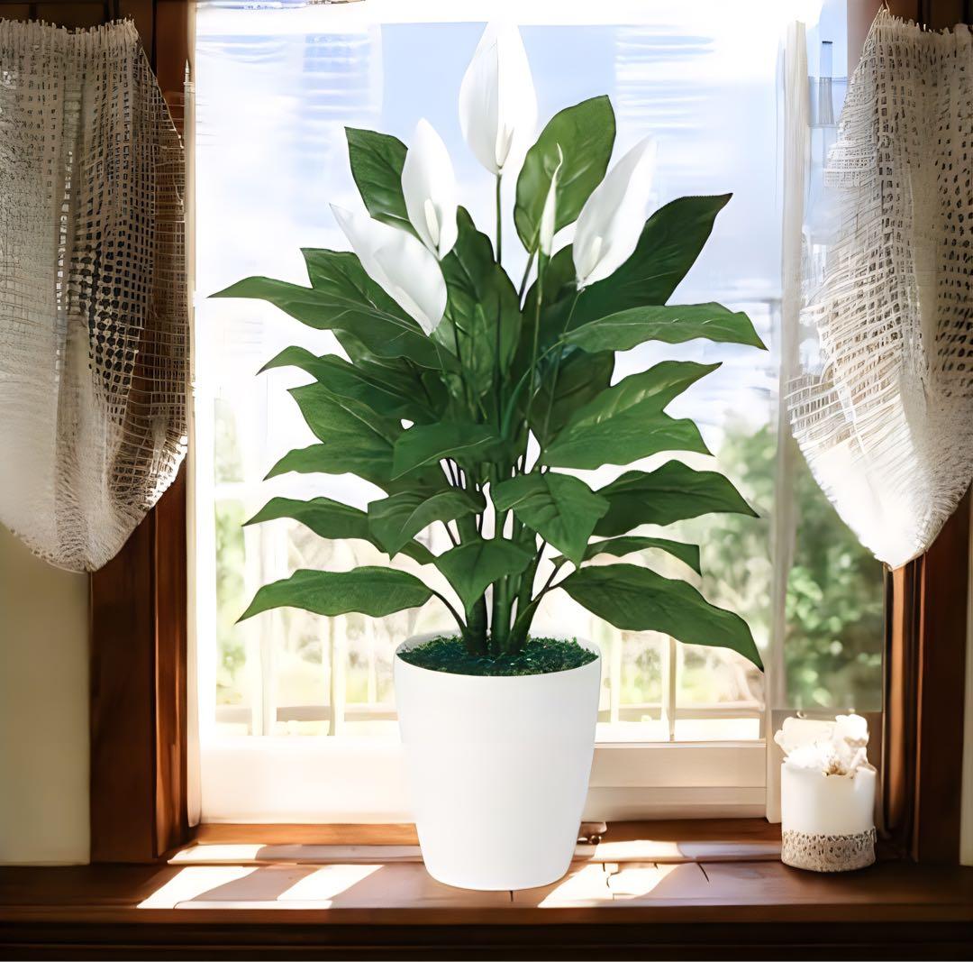 光触媒　人工観葉植物　ウォールグリーン　フェイクグリーン　スパティフィラム 80