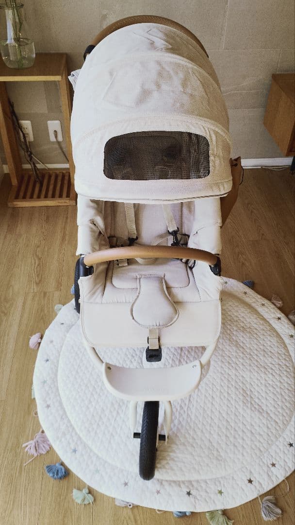 り*ご様 AIR BUGGY COCO BRAKE EX