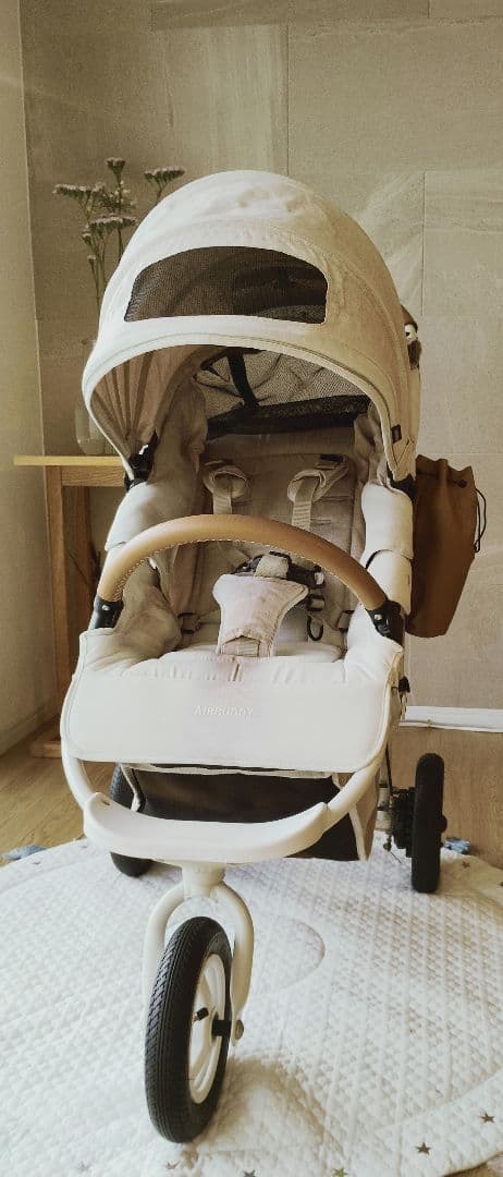 り*ご様 AIR BUGGY COCO BRAKE EX