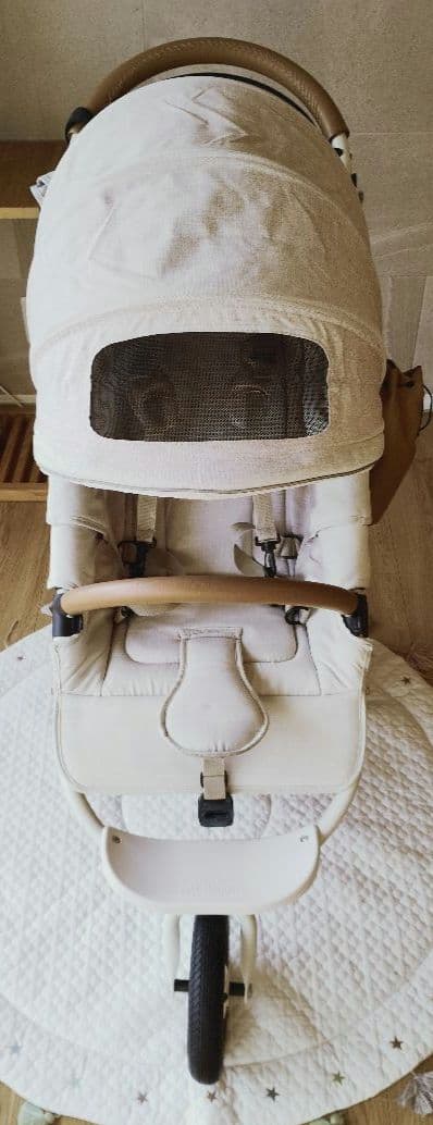 り*ご様 AIR BUGGY COCO BRAKE EX