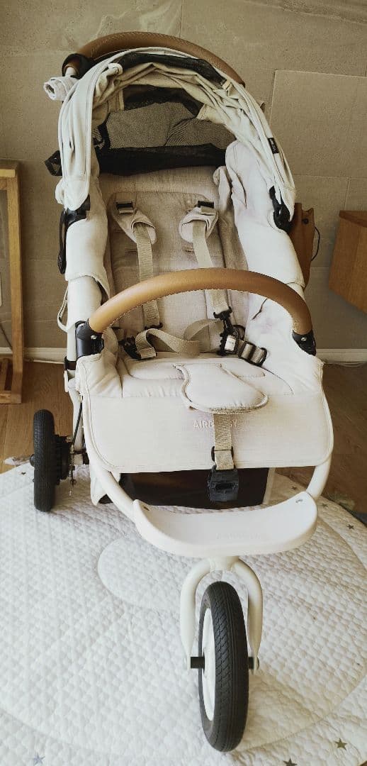 り*ご様 AIR BUGGY COCO BRAKE EX