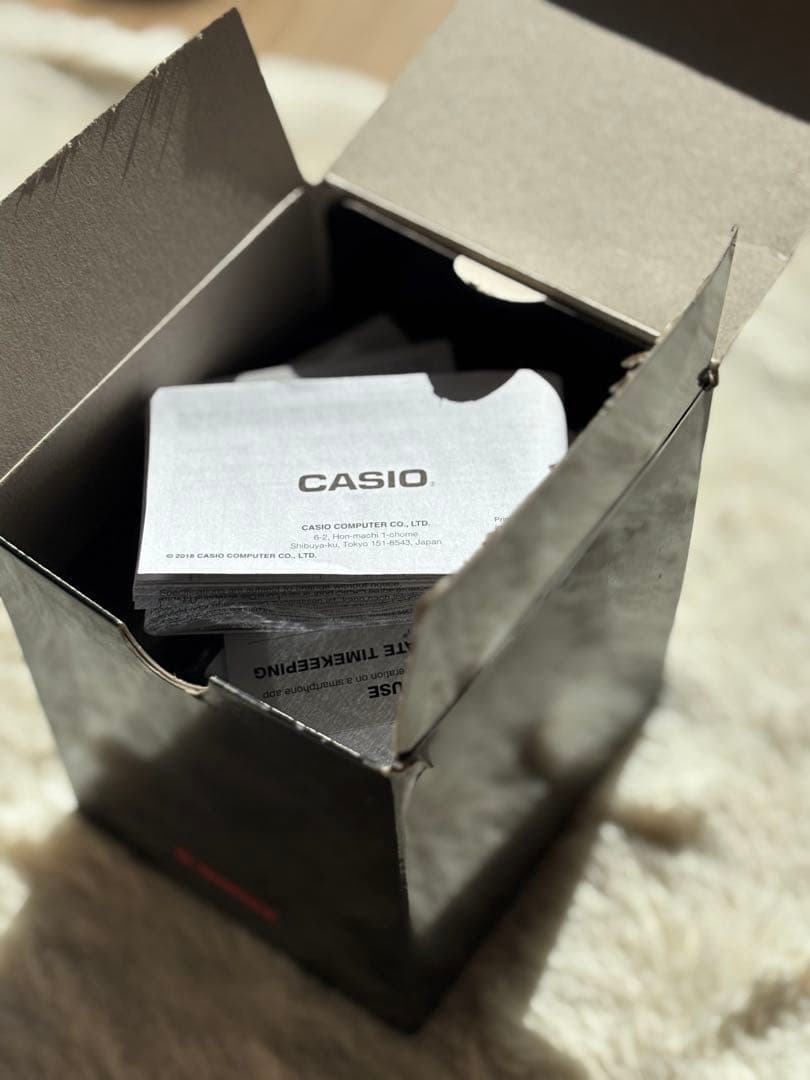 カシオCASIO G-SHOCK GR-B100（ケースあり)