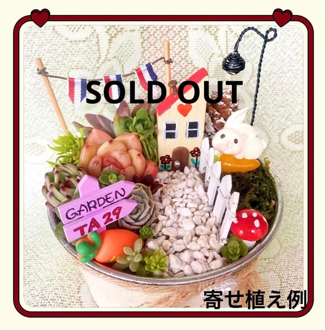 ⑨箱庭セット✿多肉寄せ植え