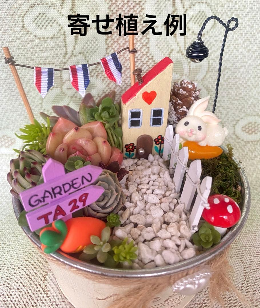 ⑨箱庭セット✿多肉寄せ植え