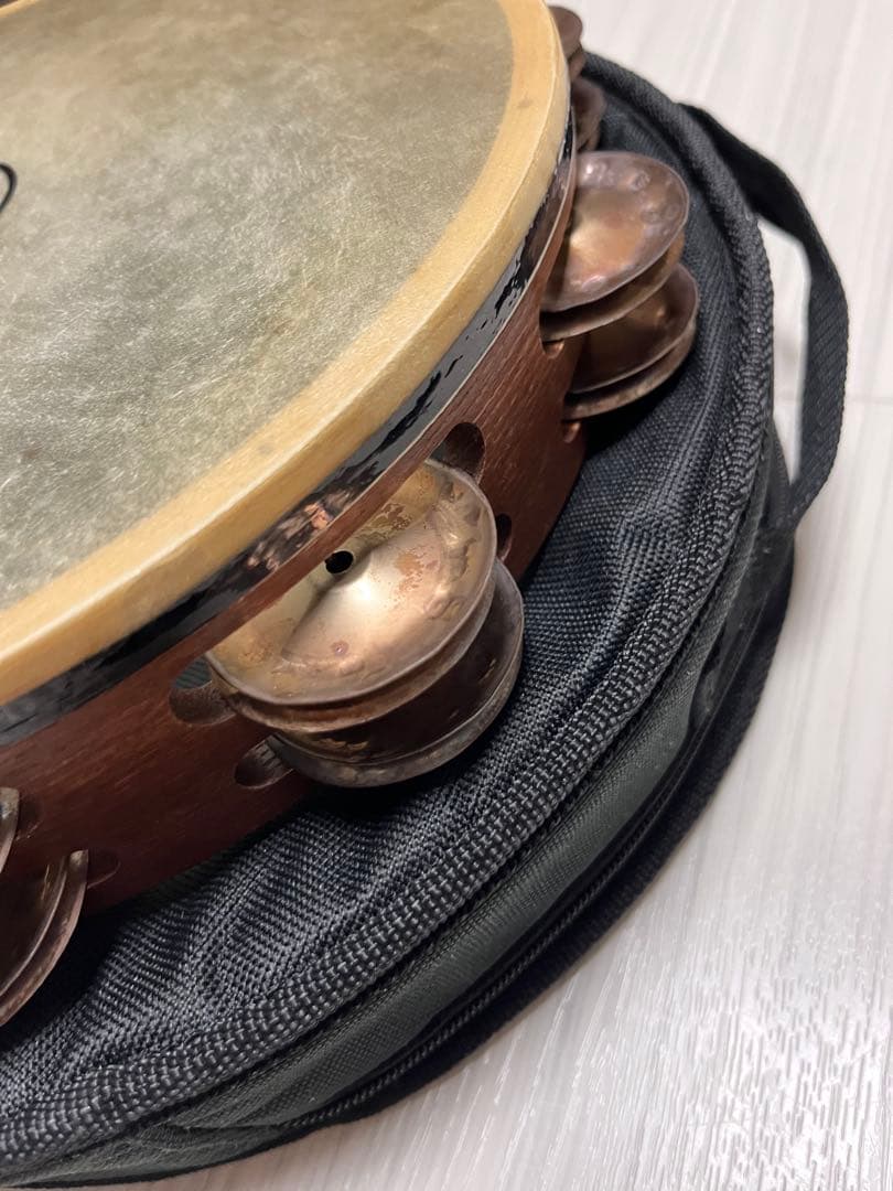 Black Swamp TD1 Chromium 25 タンバリン　ケース付き