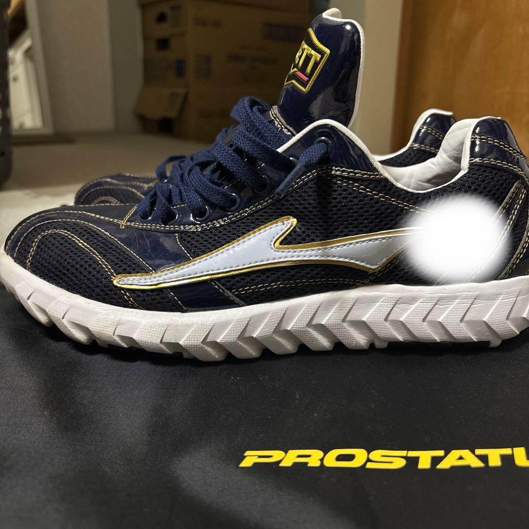 プロステイタスフルオーダートレーニングシューズ 27.0cm