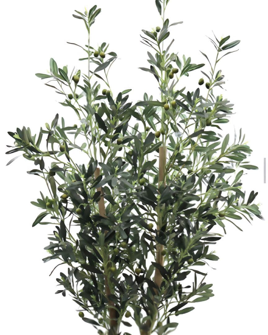 光触媒　人工観葉植物　ウォールグリーン　フェイクグリーン　オリーブ160aj