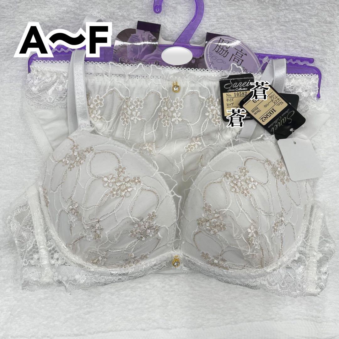 スカラップゴールドミモザブラほか4点