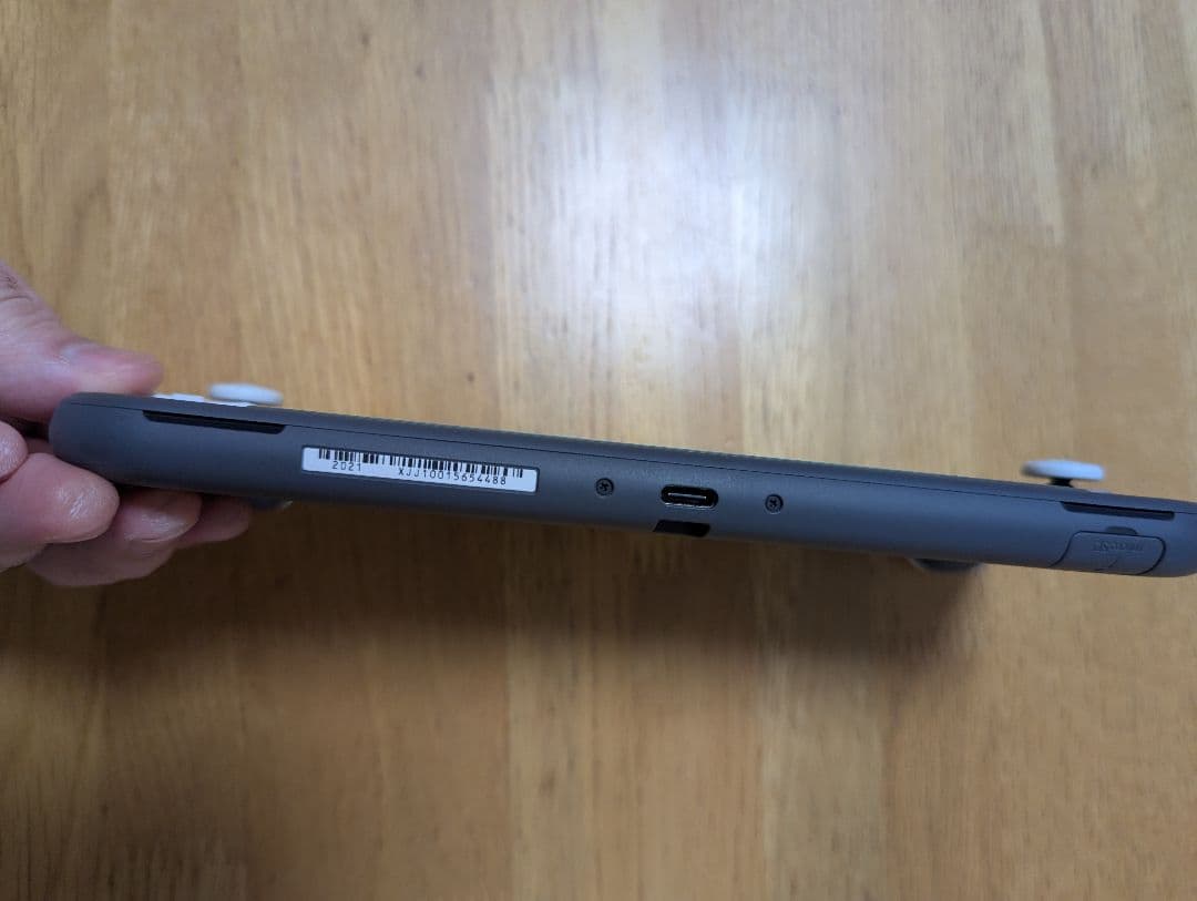 Switch Lite（持ち運び用ケースあり）