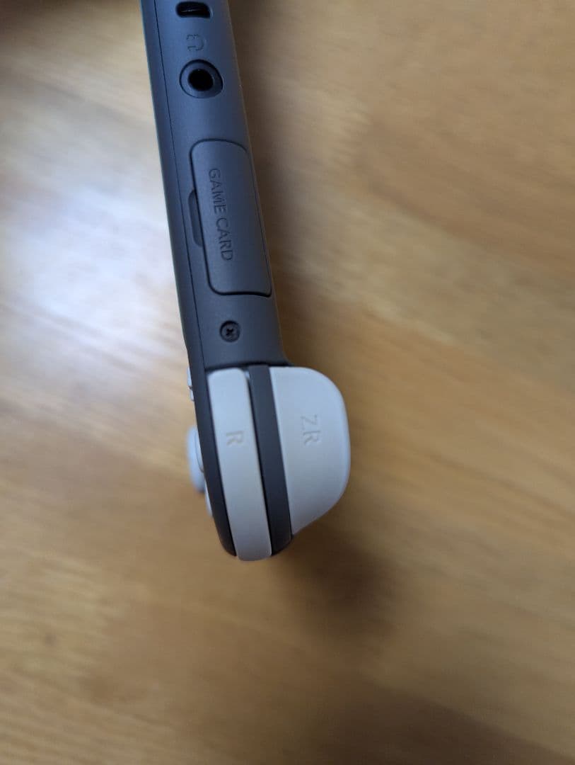 Switch Lite（持ち運び用ケースあり）