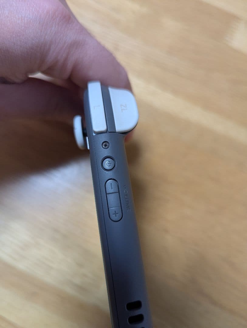 Switch Lite（持ち運び用ケースあり）