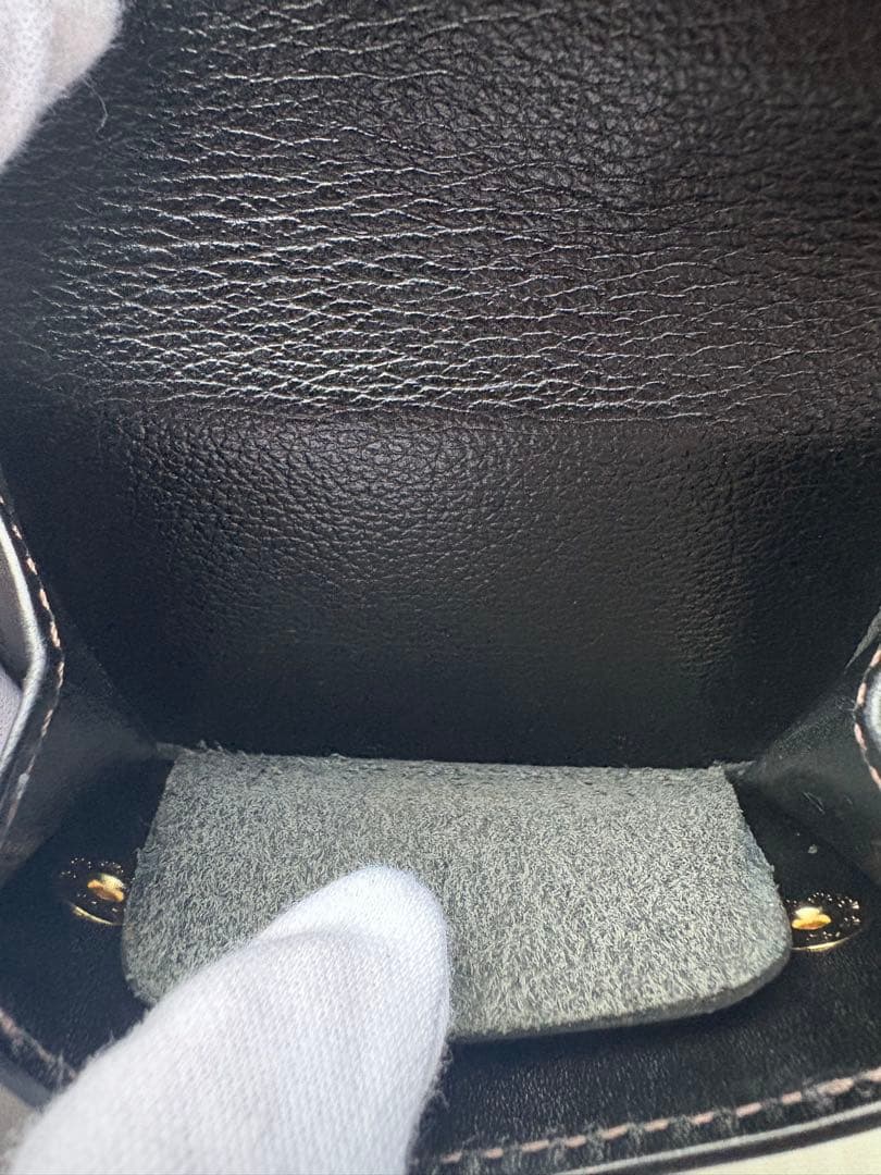 ワイルドスワンズ クロコダイル タングfp