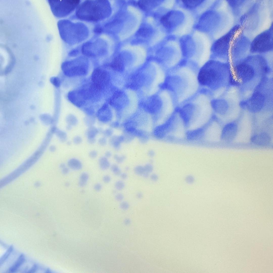 深川製磁　高級ライン　染付魚彫刻取皿揃　吹き墨　共箱　ほぼ未使用品　22.5㎝