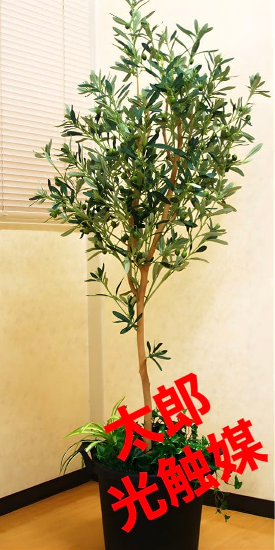 光触媒　人工観葉植物　ウォールグリーン　フェイクグリーン　オリーブ1.6M