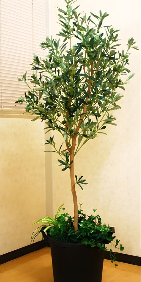 光触媒　人工観葉植物　ウォールグリーン　フェイクグリーン　オリーブ1.6M