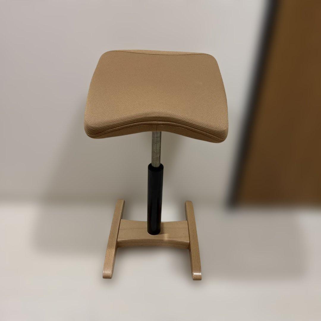 腰痛対策椅子 バランスシナジー　クッションカバー付き　本体グレー