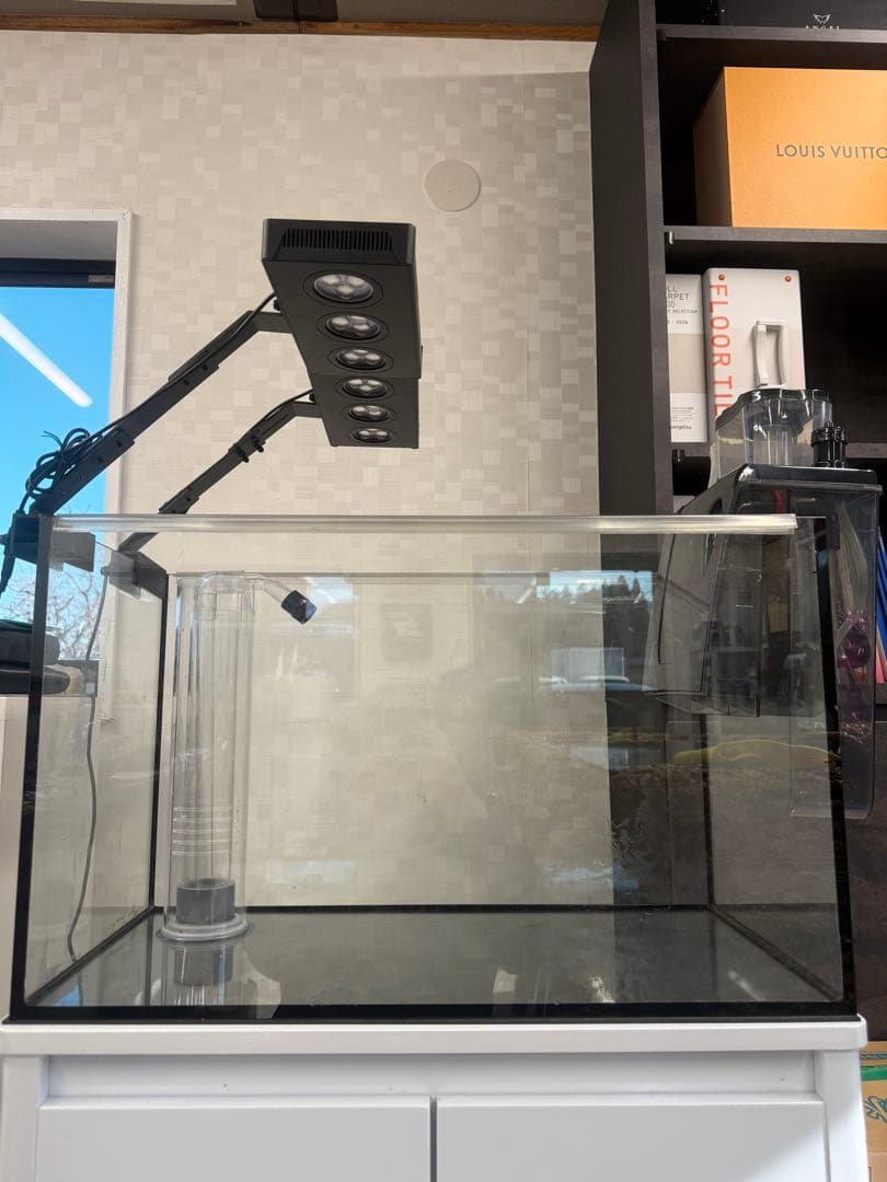 オーバーフロー水槽　ガラス水槽　60cm 海水魚