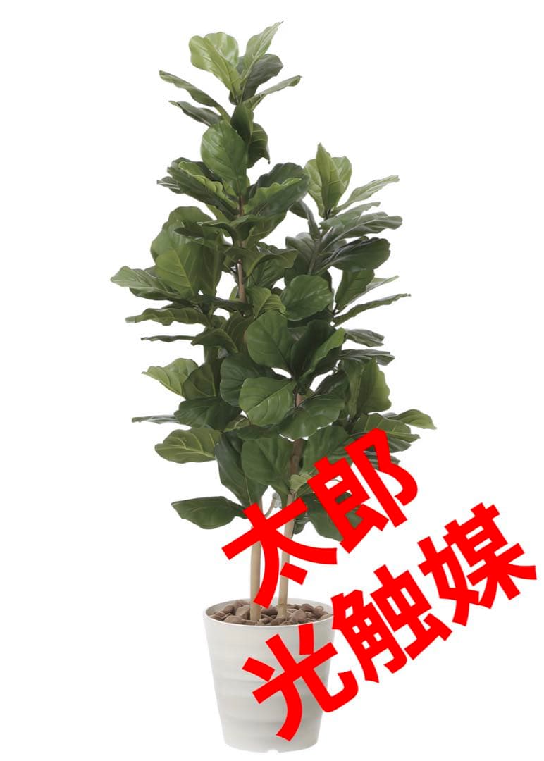 光触媒　人工観葉植物　ウォールグリーン　フェイクグリーン　カシワバゴム160