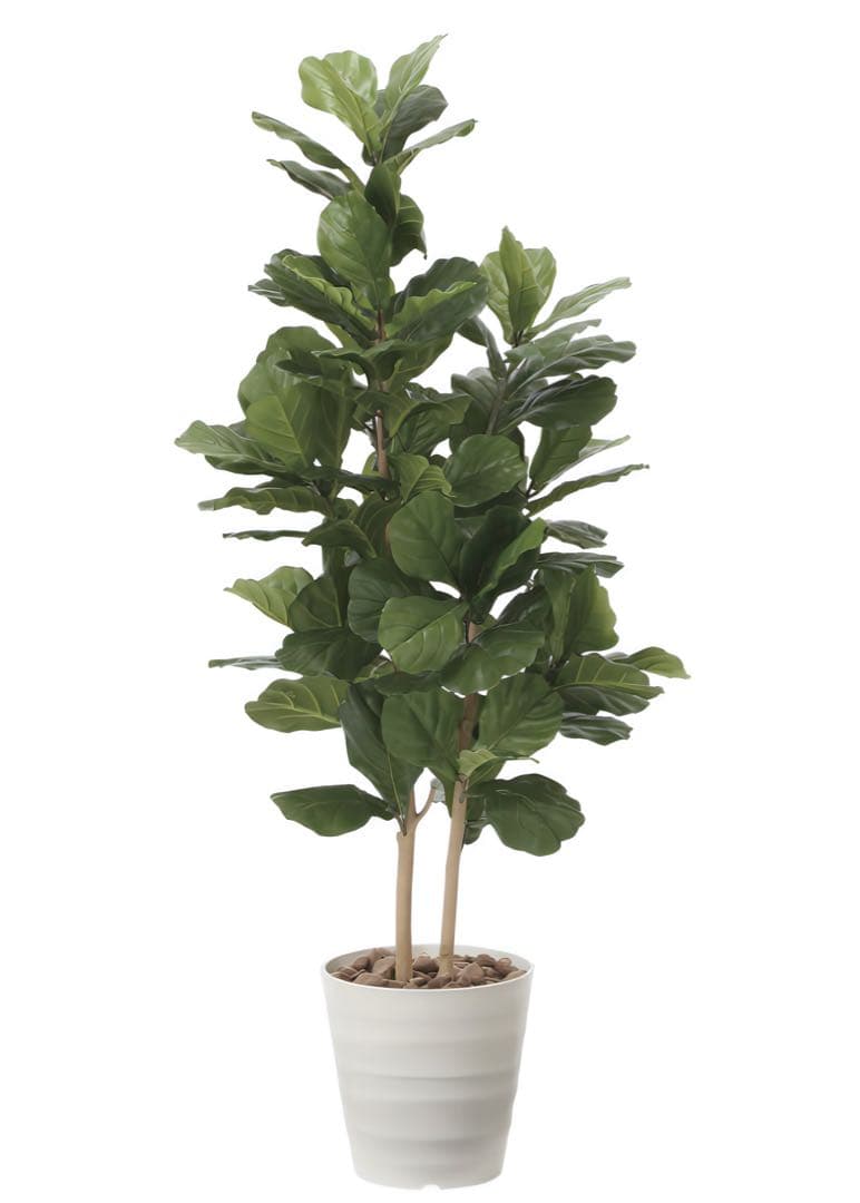 光触媒　人工観葉植物　ウォールグリーン　フェイクグリーン　カシワバゴム160