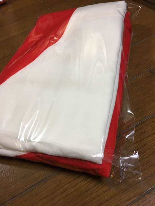 日本国旗  エキストランバンティング  140cm×210cm