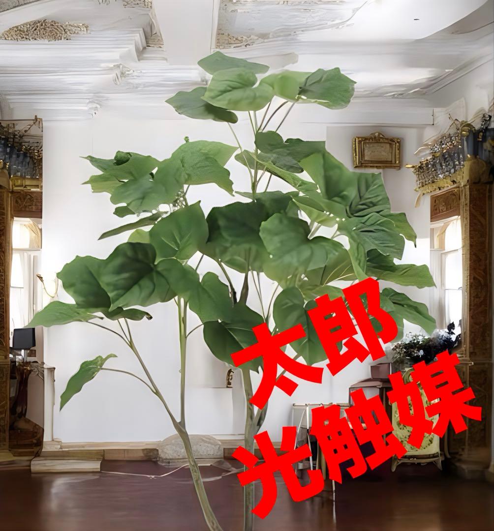 光触媒　人工観葉植物　フェイクグリーン　フィカスウンベラータ1.35m