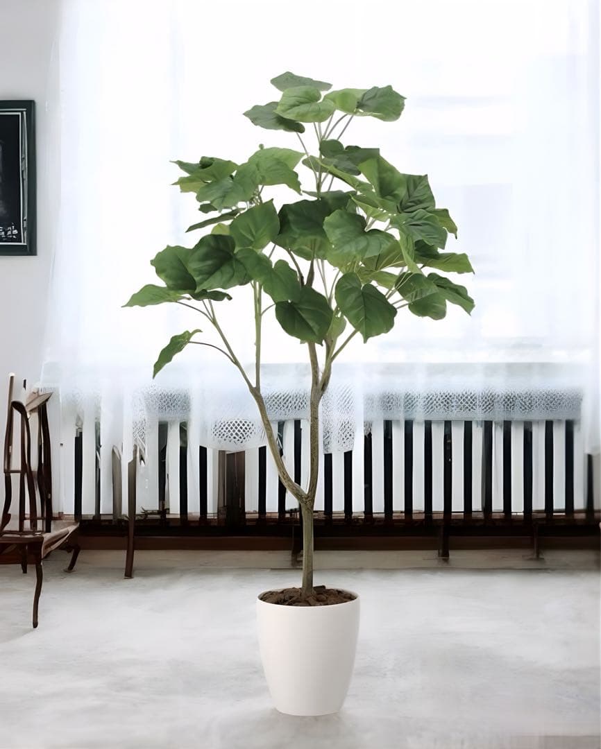 光触媒　人工観葉植物　フェイクグリーン　フィカスウンベラータ1.35m