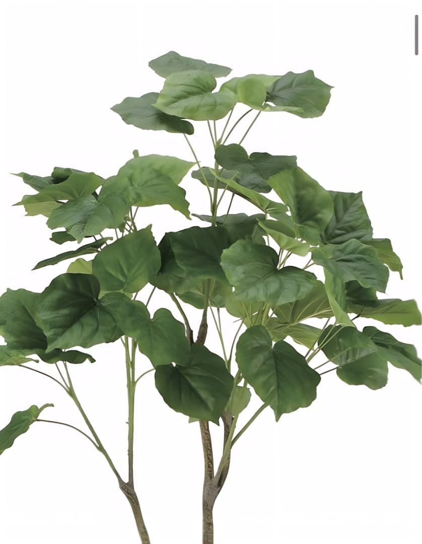 光触媒　人工観葉植物　フェイクグリーン　フィカスウンベラータ1.35m