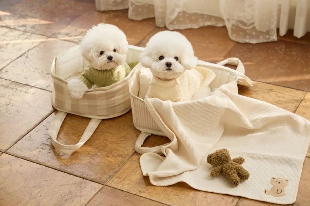 ベージュチェック キャリーバッグ 小型犬用　SMサイズ　ba&ttang