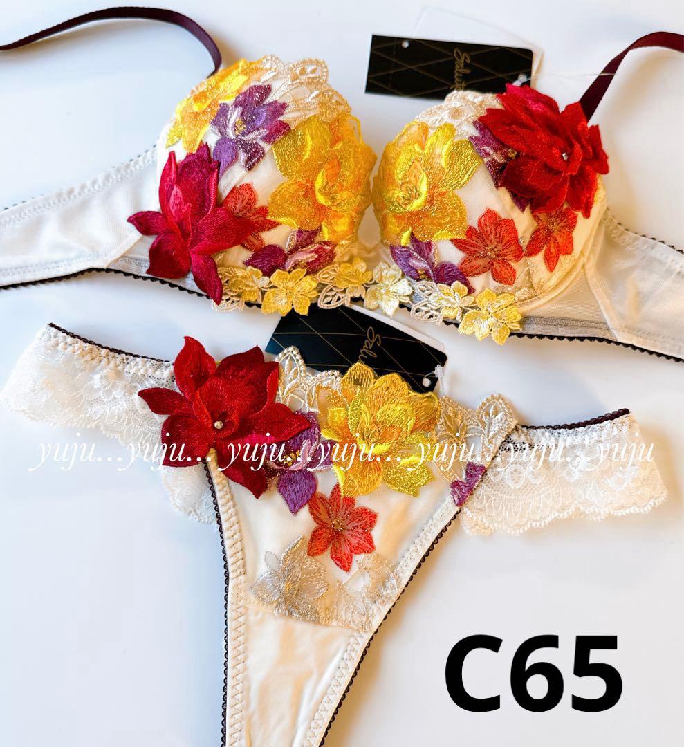 ワコール/サルート 30G 新品タグ付 P-upブラソングC65