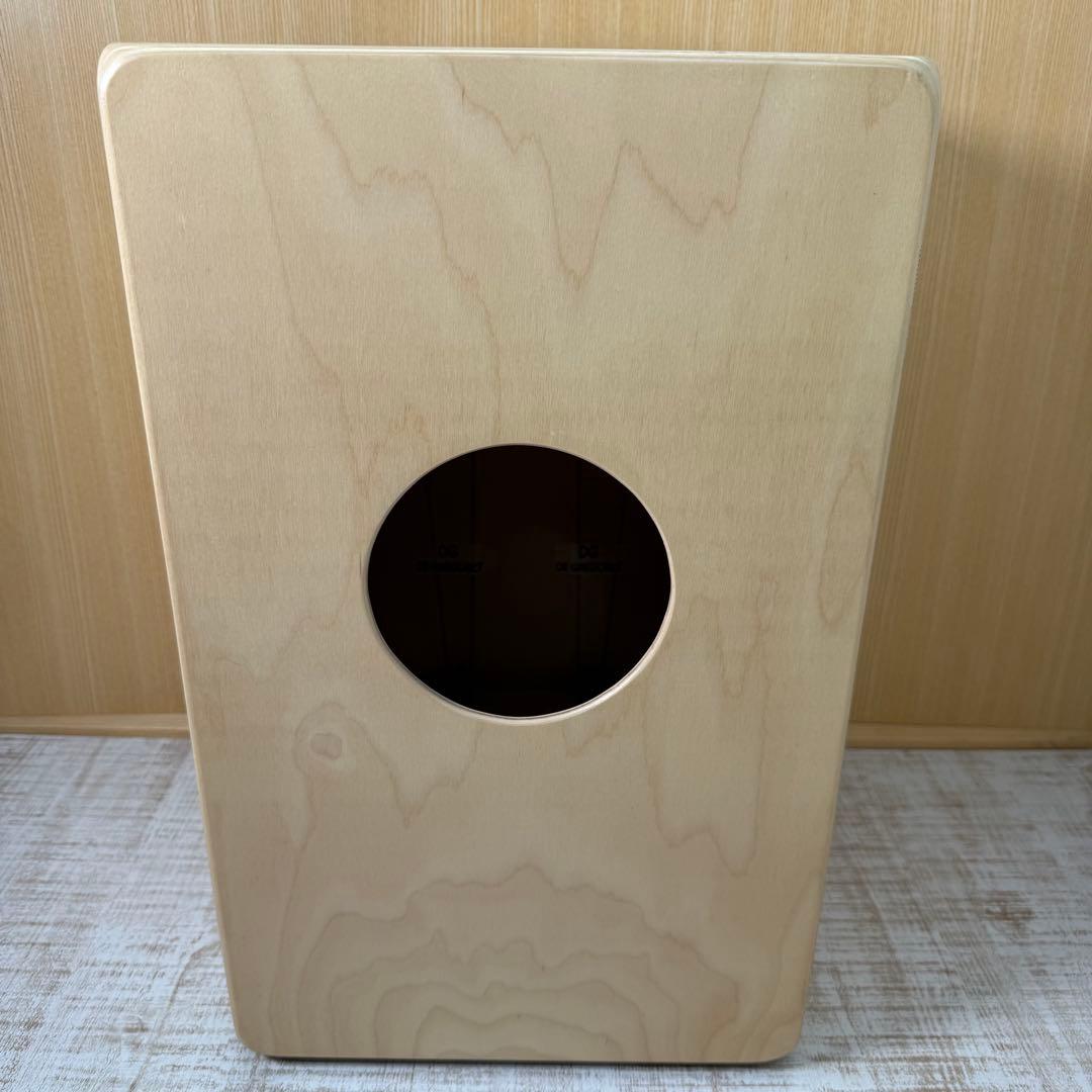 De gregorio bravo カホン cajon ケース付　打楽器