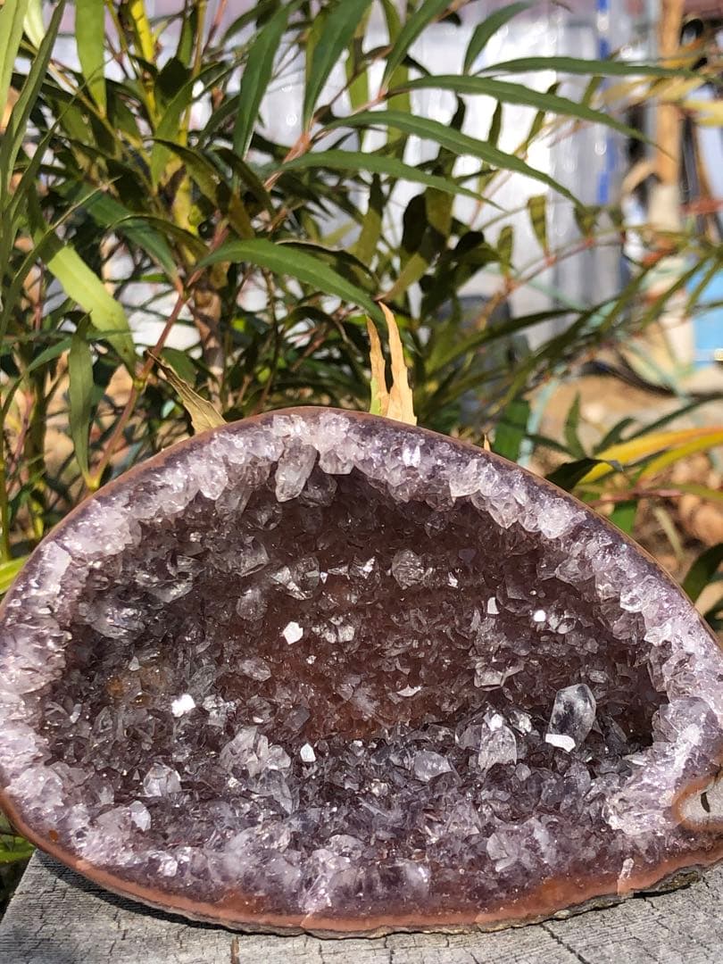 レア　綺麗　母岩剥ぐ　キラキラ　みずみずしい　アメジスト ドーム　天然石