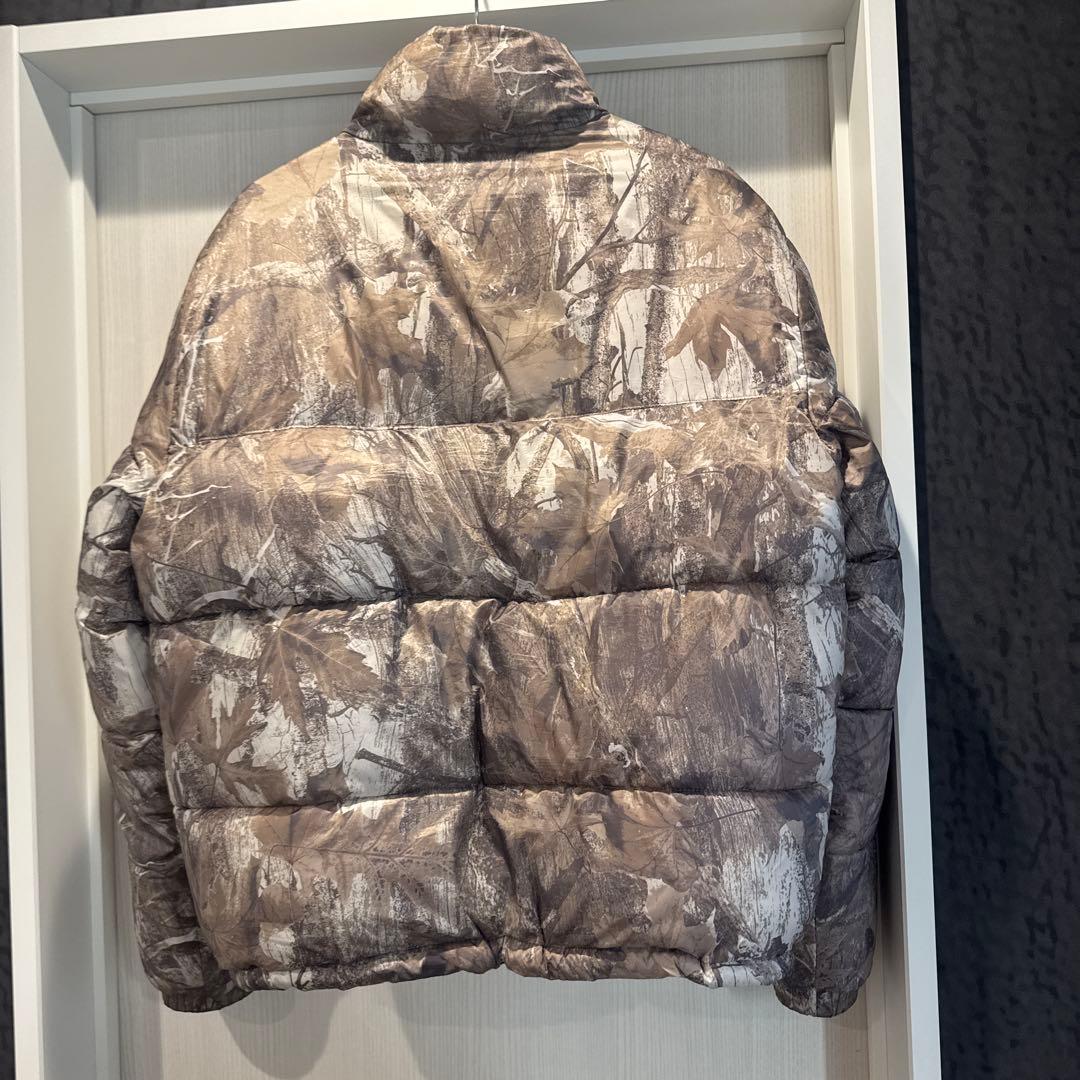 Hollisterダウンジャケット リアルツリー M