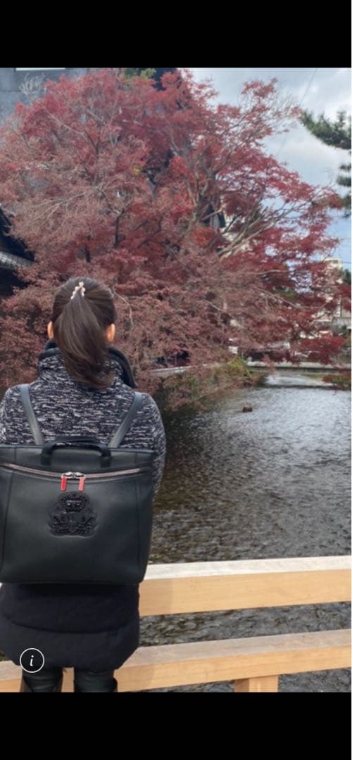 Christian Louboutin 黒 2ウェイバッグ