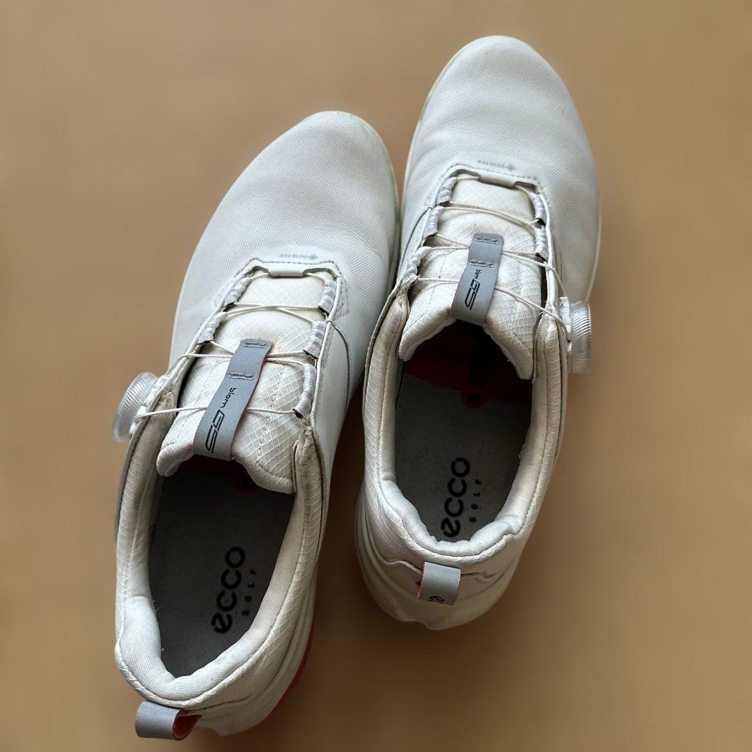 【エコー】 ゴルフシューズ レディース【ecco】　24.5