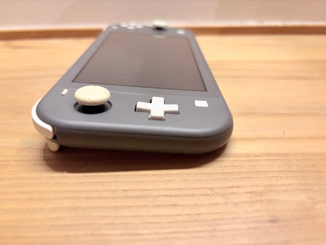 Nintendo Switch Lite 本体 グレー（付属品完備・おまけ付）