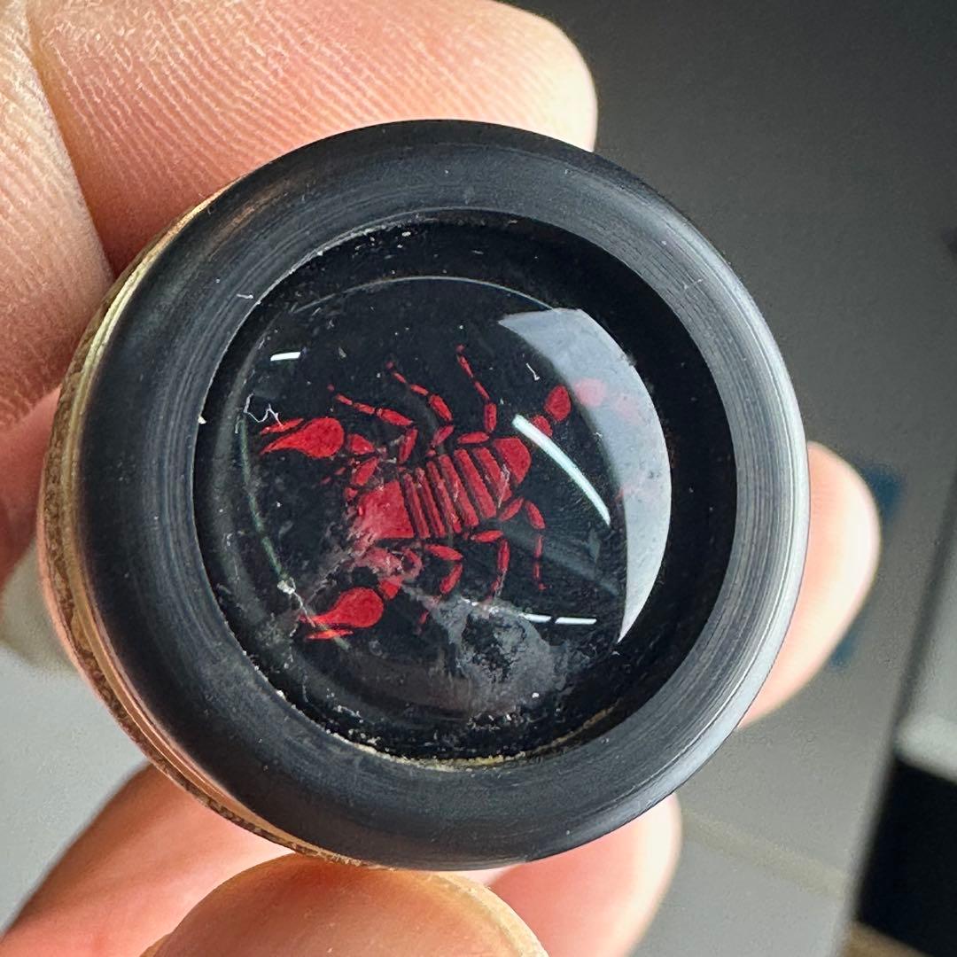 ワールドシャウラドリームツアーエディション2651F-5