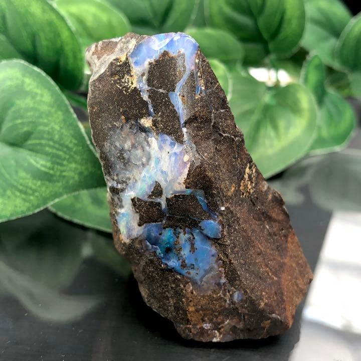 ボルダーオパール原石オーストラリア産y1184