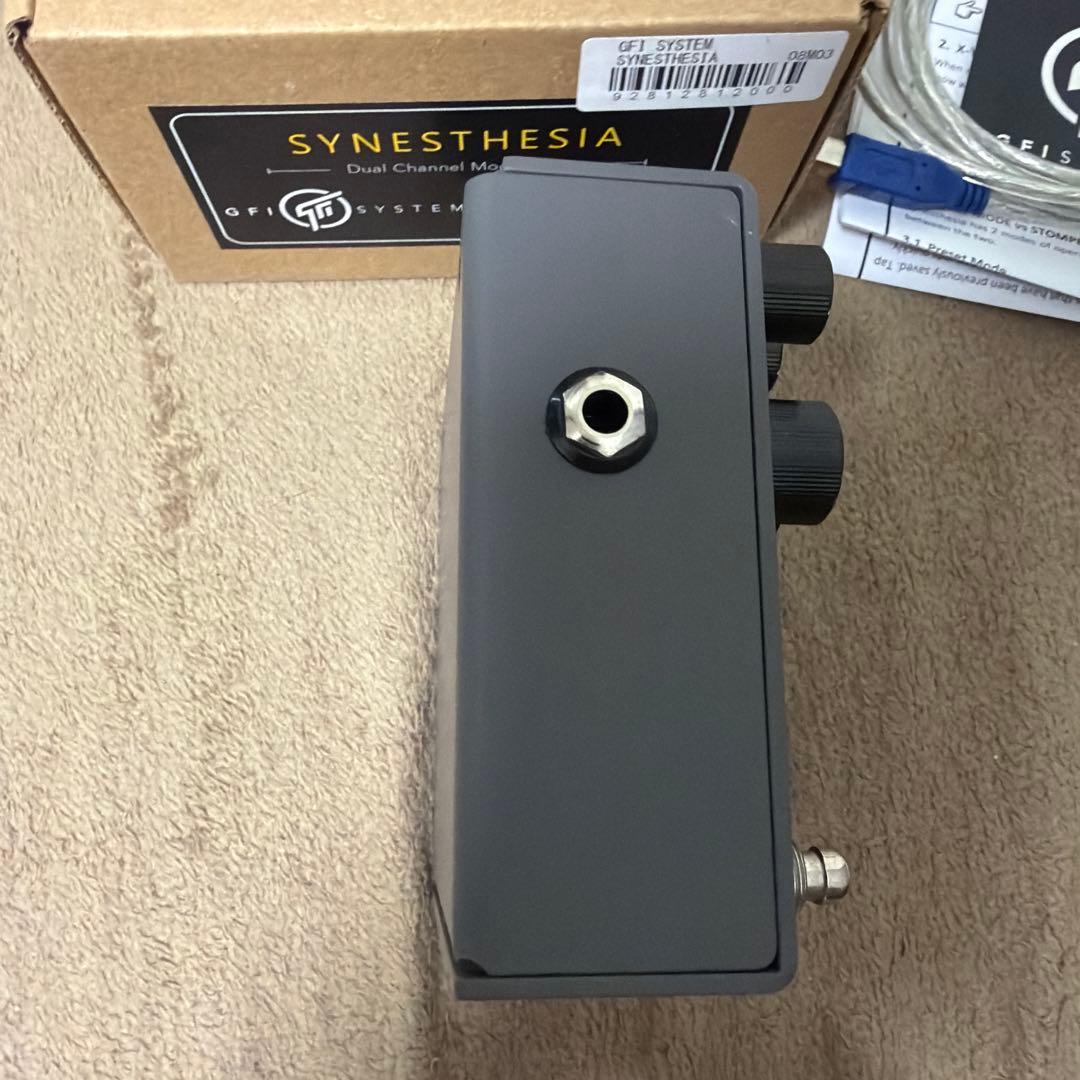 ギター GFI System Synesthesia