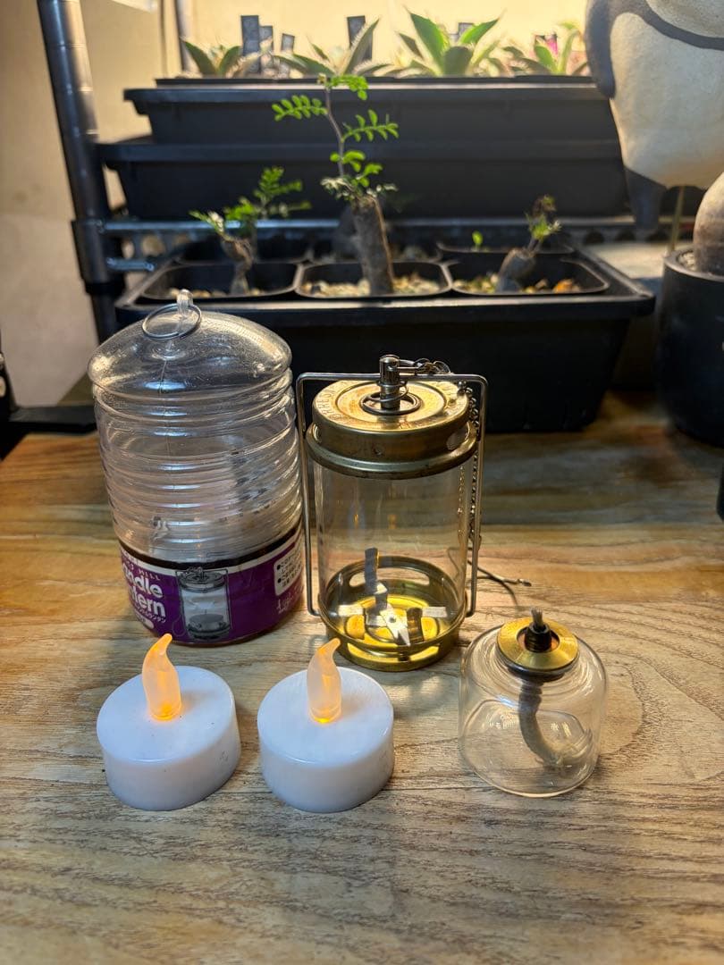 フォレストヒル　ランタン　ゴールド