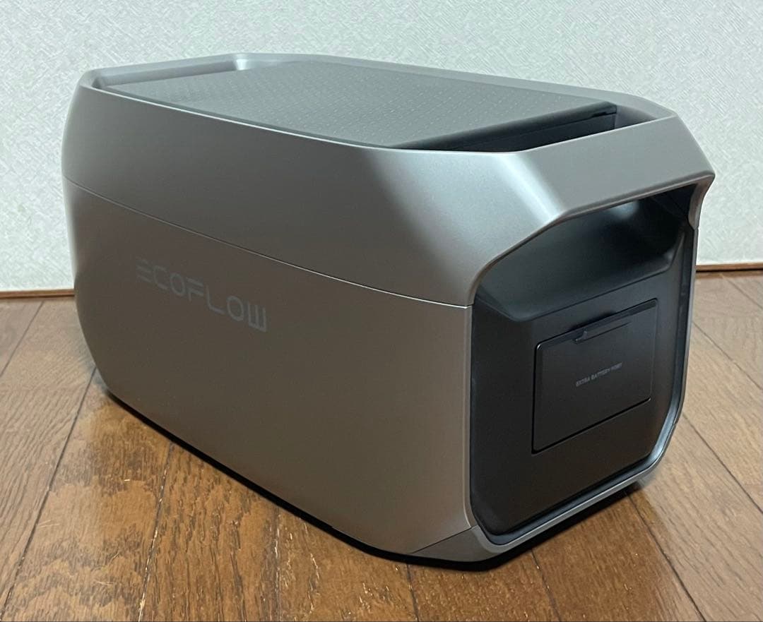 【ラッシーボ】EcoFlow DELTA 3 Plus