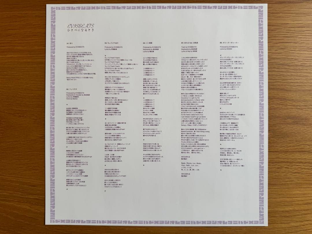 EVISBEATS ひとつになるとき　レコード 2LP レア 美品